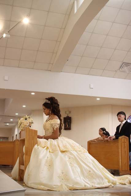 IMG-8494