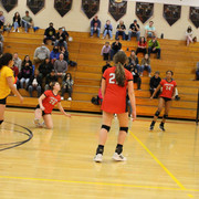 IMG-0158