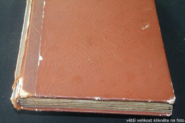 IMG-3135.jpg