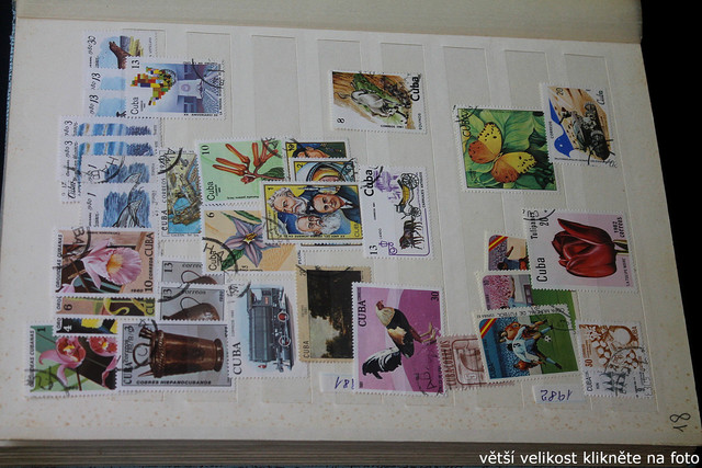 IMG-3507.jpg
