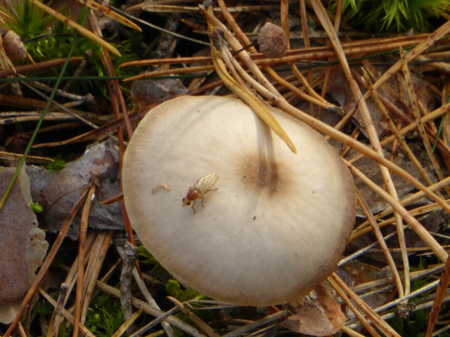 P1130659