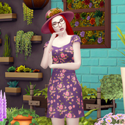 daisy2