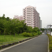 2010-06-25-059