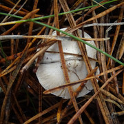 DSC00055