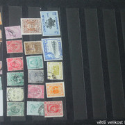 IMG-3557