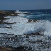 DSCF8203