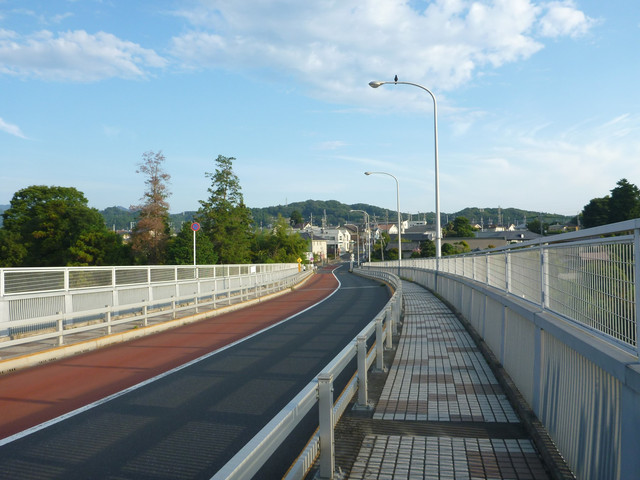 P1340761.jpg
