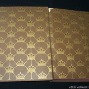 IMG-6373