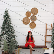 IMG-4563