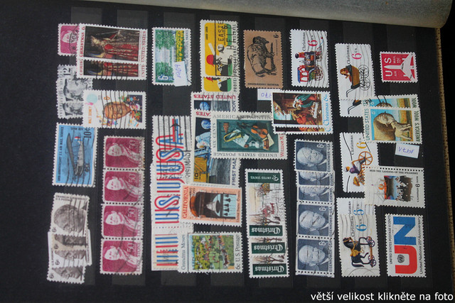 IMG-3077.jpg