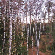yahonty-views-03