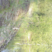 DSC5336-result