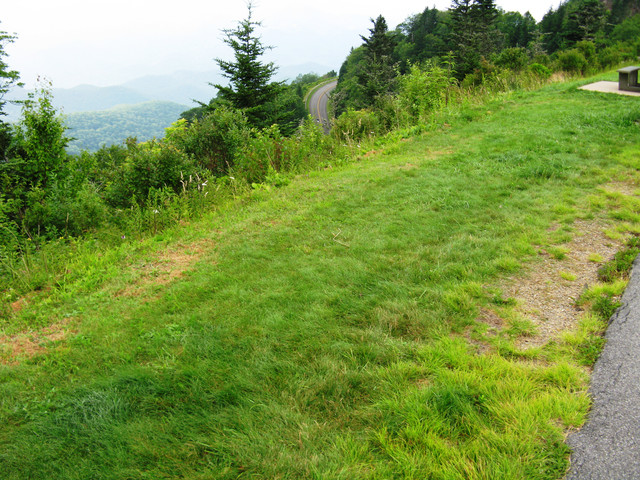 BRP overlook road out.jpg