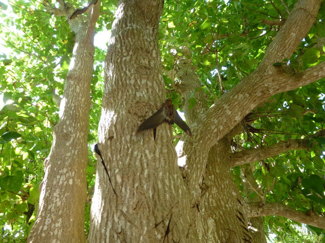 P1060467