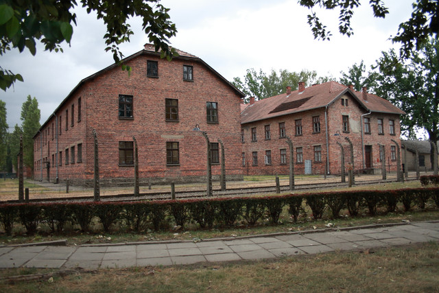 IMG-5863.jpg