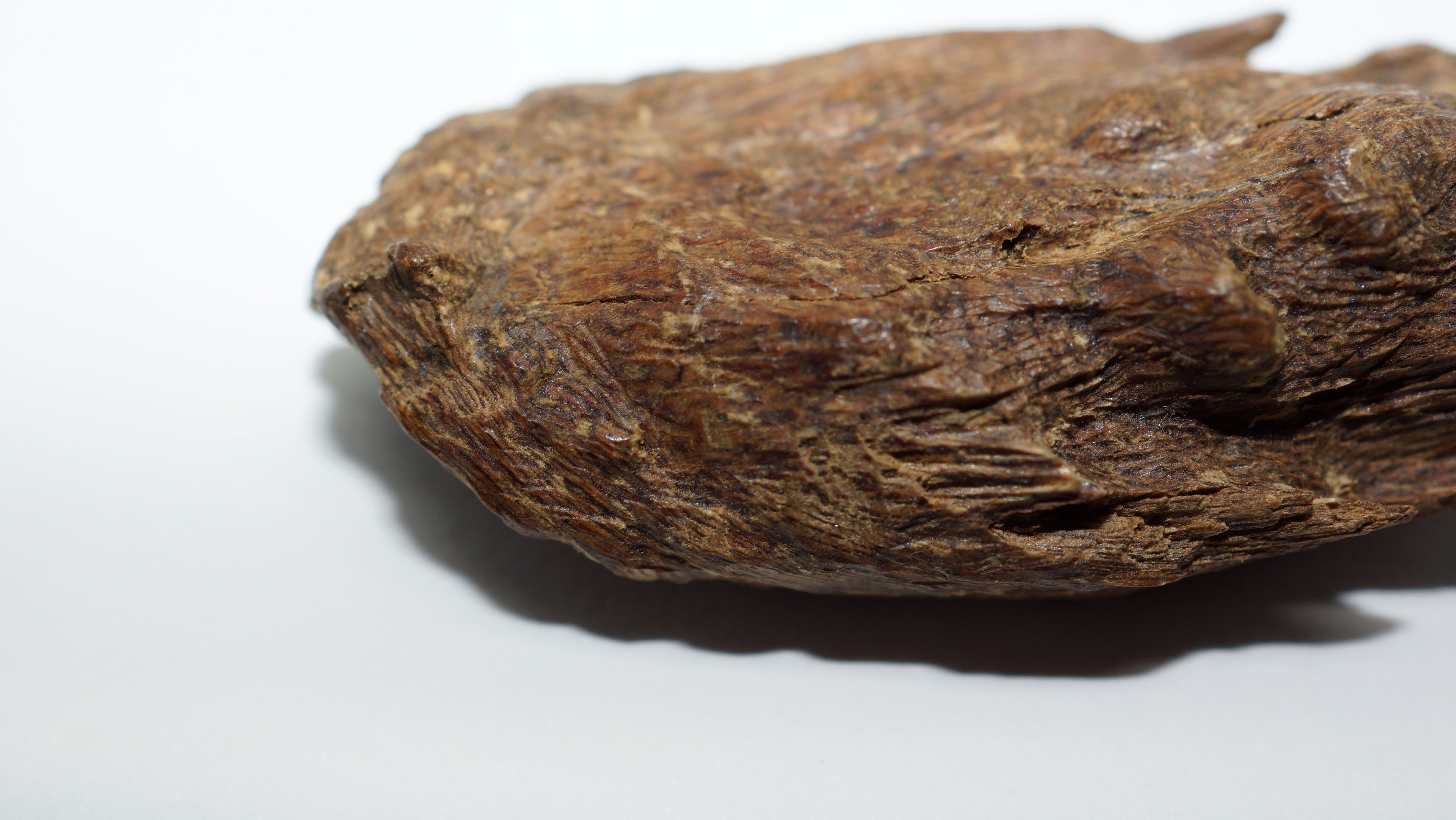 [Ouddict.com] Oud Wood
