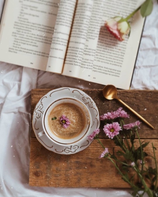 tumblr-3a429f57a025d5026d1861eabfa44afb-443bf6f5-540