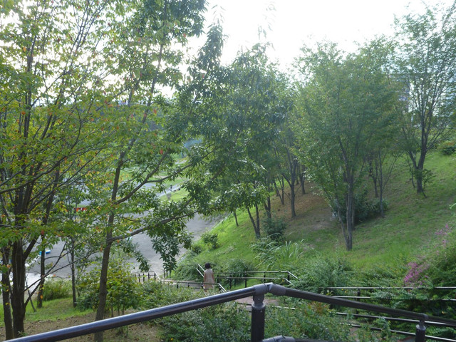 P1350264