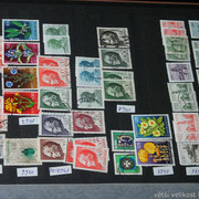 IMG-6990