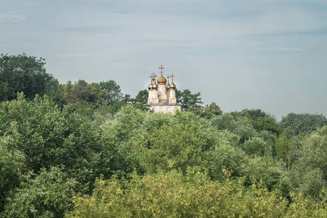 DSC00017.jpg