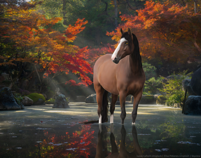Autumn-Pond