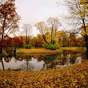 OLYMPUS-DIGITAL-CAMERA