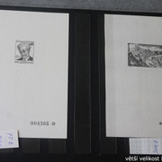 IMG-2352