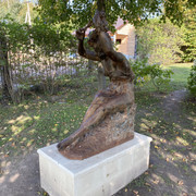 IMG-0563