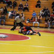 IMG-0105