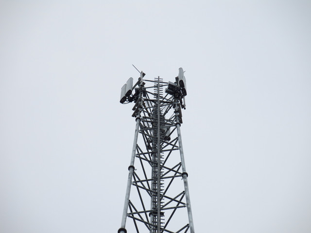 IMG-4719