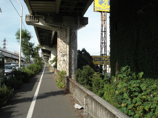 2012-07-23-11