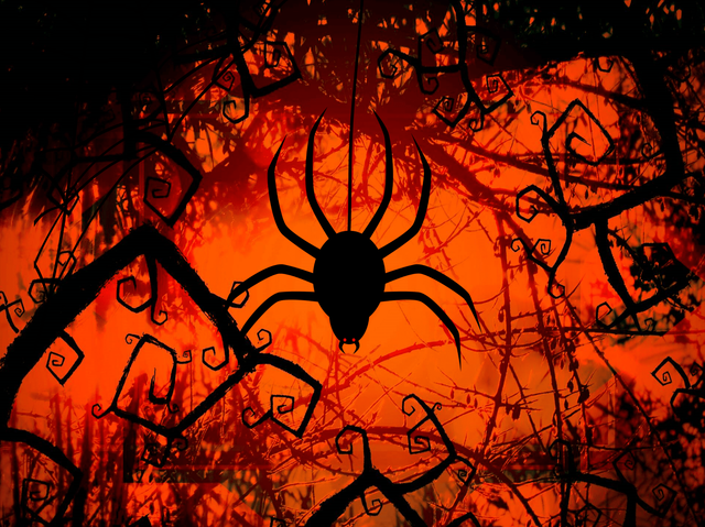 SPIDERWALL-1
