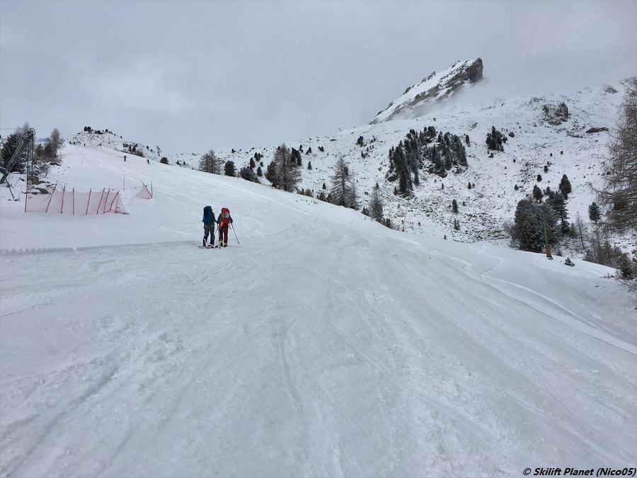 IMG-9484.jpg