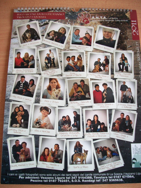 Calendario-2011.jpg