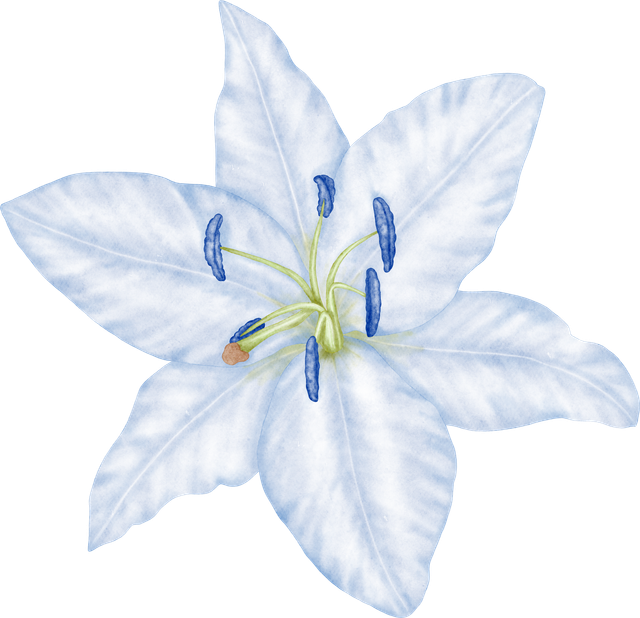 Bl01