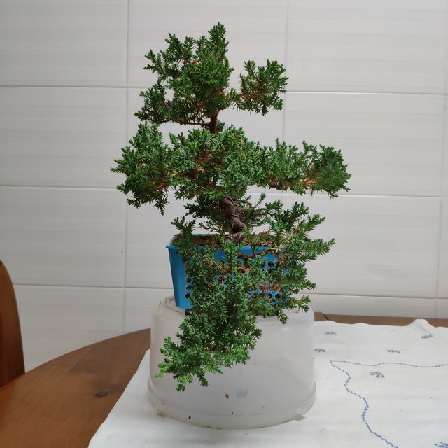 IMG 20180924 194920