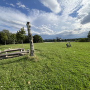 IMG-8711