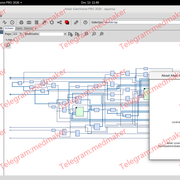Altair Gate Vision PRO 2026 0 Linux64