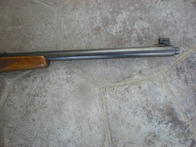 M81 004