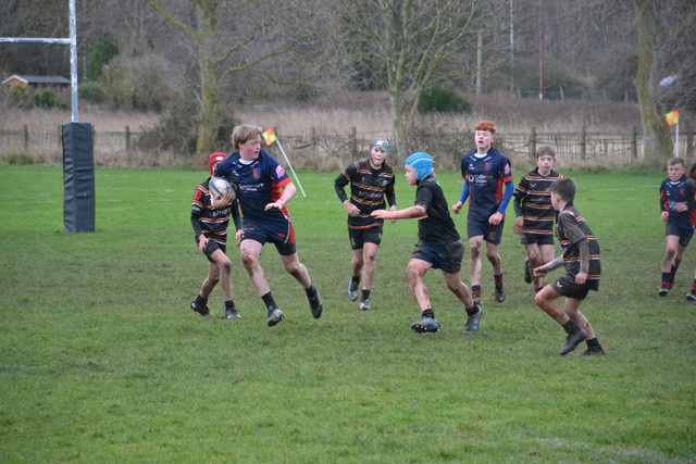 DSC 1177.jpg