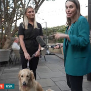 IMG 6254
