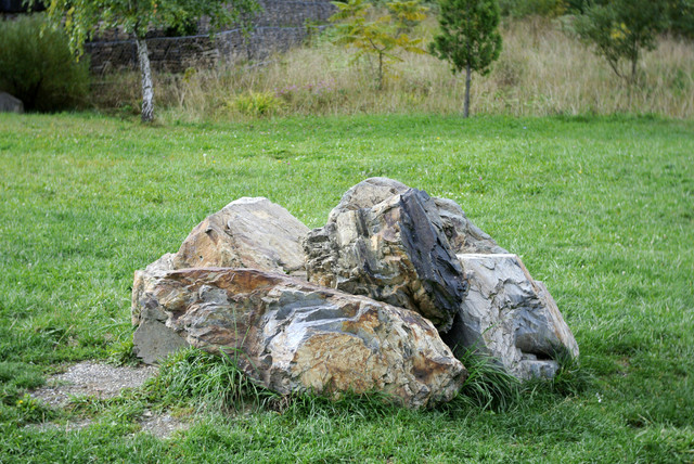DSC7143.jpg