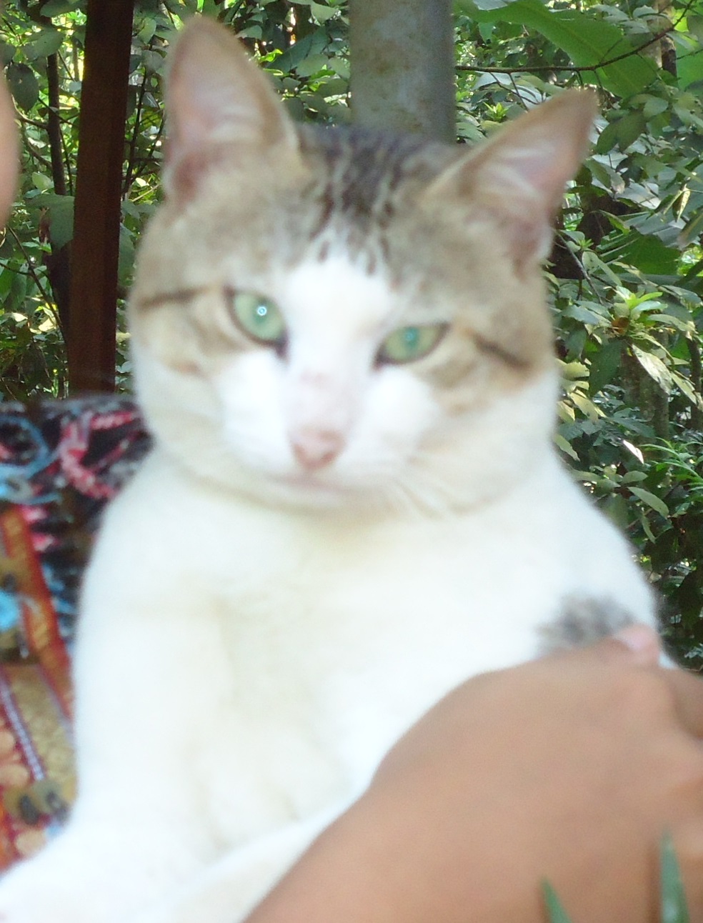 DSC07617.jpg