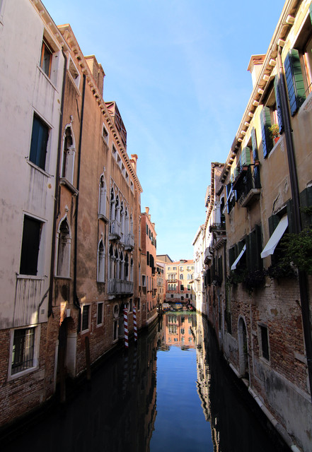 IMG-0545