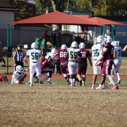IMG-5426