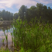DSCF5149
