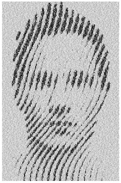 processing-fingerprint-Portrait