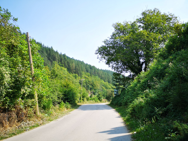 IMG-20230824-114709