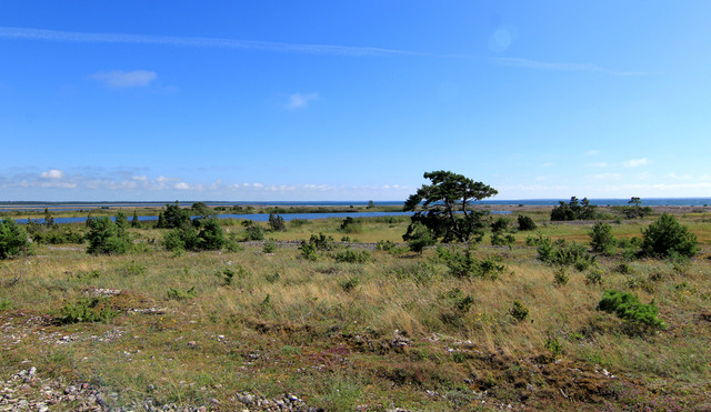 IMG-1522