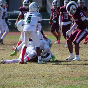 IMG-3279